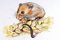 Top con giáp tài lộc như nước, trúng số thình lình sau Tết Quý Mão