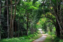 8 khu rừng nguyên sinh nổi tiếng nhất Việt Nam ở đâu?