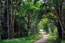 8 khu rừng nguyên sinh nổi tiếng nhất Việt Nam ở đâu?
