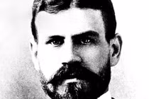 Nhà khoa học hy sinh bản thân để muỗi đốt... đến chết