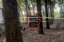 Điều tra vụ nữ chủ quán karaoke tử vong trong nhà vệ sinh bỏ hoang 