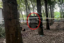 Điều tra vụ nữ chủ quán karaoke tử vong trong nhà vệ sinh bỏ hoang 