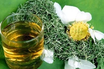 5 nhóm người không nên uống nước lá sen