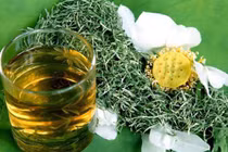 5 nhóm người không nên uống nước lá sen