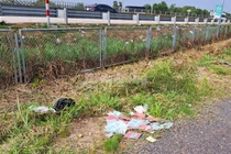  Nhiều sổ hộ khẩu, CMND, con dấu bị vứt bỏ bên đường