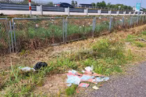  Nhiều sổ hộ khẩu, CMND, con dấu bị vứt bỏ bên đường