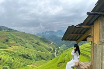 Bỏ túi kinh nghiệm khám phá mùa vàng non cao Mù Cang Chải