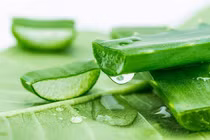 Học ngay 6 cách ngăn ngừa rụng tóc mùa thu bằng nguyên liệu có trong bếp