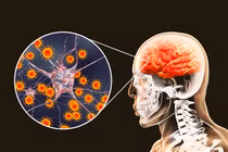 Thường xuyên làm điều này vào buổi trưa có thể giúp trẻ hóa não bộ