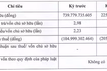 Nam Phương Energy lỗ tiếp 205 tỷ, vốn chủ sở hữu teo tóp