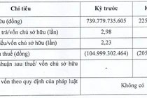 Nam Phương Energy lỗ tiếp 205 tỷ, vốn chủ sở hữu teo tóp
