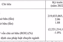 Điện mặt trời VKT - Hòa An lỗ “đậm”