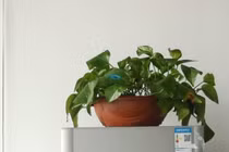 Tuyệt đối không đặt thứ này trên nóc tủ lạnh, nếu không muốn tiền điện tăng