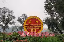 Thủ đô Hà Nội rực rỡ cờ hoa mừng Xuân Quý Mão