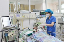 Suy hô hấp, hôn mê sâu nguy kịch sau khi ăn so biển