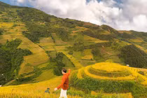 Tọa độ "săn" mùa lúa chín đẹp nhất Việt Nam 