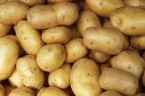 Trứng kỵ với thực phẩm nào?