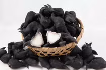 Hàng loạt vụ ngộ độc liên quan củ ấu tàu: Bác sĩ cảnh báo gì?