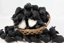 Hàng loạt vụ ngộ độc liên quan củ ấu tàu: Bác sĩ cảnh báo gì?