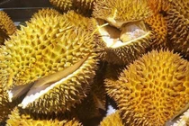 Tưởng chừng thứ bỏ đi nhưng vỏ sầu riêng lại mang nhiều công dụng bất ngờ