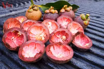 4 lợi ích bất ngờ của vỏ măng cụt không phải ai cũng biết 