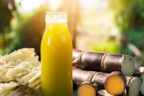 Top 10 loại nước uống giúp giải rượu nhanh, hiệu quả cao vào dịp lễ