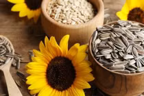 5 loại hạt giúp thúc đẩy mọc tóc, ngăn ngừa gãy rụng