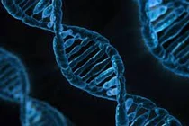 Em bé đầu tiên mang DNA của 3 người chào đời tại Anh
