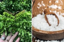 Mách bạn 3 cách rửa mặt bằng nước khế giúp dưỡng da, trị mụn