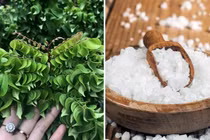 Mách bạn 3 cách rửa mặt bằng nước khế giúp dưỡng da, trị mụn