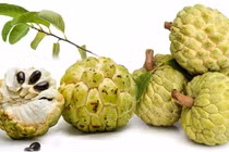 6 lợi ích tuyệt vời của quả na đối với sức khỏe