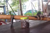  Say thuốc lào, người đàn ông ngã quỵ xuống đất, gãy xương đòn vai