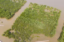 Thu hẹp 90% diện tích Khu Bảo tồn Tiền Hải để "hô biến" thành... gì?