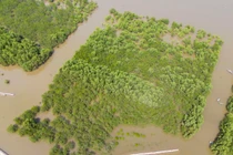 Thu hẹp 90% diện tích Khu Bảo tồn Tiền Hải để "hô biến" thành... gì?