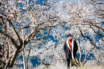 Tận hưởng mùa đông ở 8 điểm đến lừng danh miền Bắc