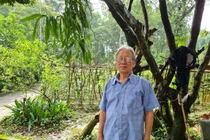 Kỹ sư Lê Quang Liên: Đam mê rừng… đặc biệt cây luồng