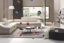 7 mẹo đơn giản giúp lọc sạch không khí trong nhà