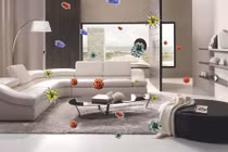 7 mẹo đơn giản giúp lọc sạch không khí trong nhà