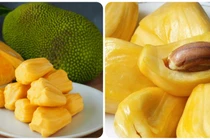 9 loại trái cây giàu protein tốt cho sức khỏe