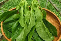 3 loại rau ăn nhiều sáng mắt, bổ gan, phòng bệnh dạ dày