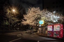 Máy bán hàng tự động có thể cảnh báo thiên tai tại Nhật Bản 