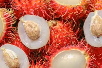 Bé 9 tháng tuổi tử vong hóc hạt chôm chôm: Bác sĩ mách cách xử trí