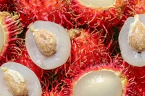 Bé 9 tháng tuổi tử vong hóc hạt chôm chôm: Bác sĩ mách cách xử trí