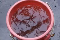 Bé trai 3 tuổi tử vong thương tâm do ngã vào xô nước cao 50 cm