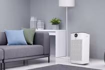 Sai lầm phổ biến khi sử dụng máy lọc không khí khiến máy nhanh hỏng