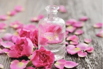 6 lợi ích tuyệt vời của hoa hồng đối với sức khỏe và sắc đẹp