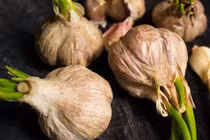 4 loại tỏi bà nội trợ không nên mua, tránh ảnh hưởng sức khỏe