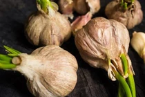 4 loại tỏi bà nội trợ không nên mua, tránh ảnh hưởng sức khỏe