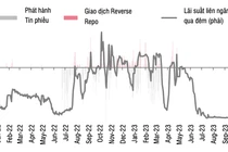 Ngân hàng Nhà nước phát hành tín phiếu: Động thái tích cực điều chỉnh thanh khoản