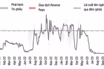 Ngân hàng Nhà nước phát hành tín phiếu: Động thái tích cực điều chỉnh thanh khoản